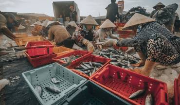 Seafood sector seeks to resume production after COVID-19