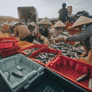 Seafood sector seeks to resume production after COVID-19