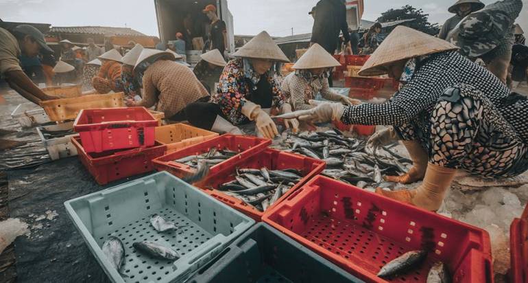 Seafood sector seeks to resume production after COVID-19